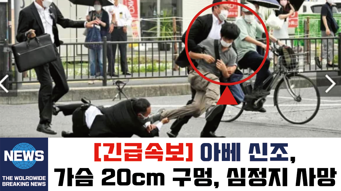  아베 산탄총 피습 사망, 용의자 발언 '드디어 이뤄냈다'