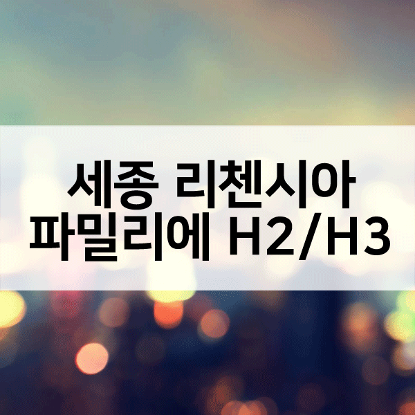 세종리첸시아파밀리에무순위-1
