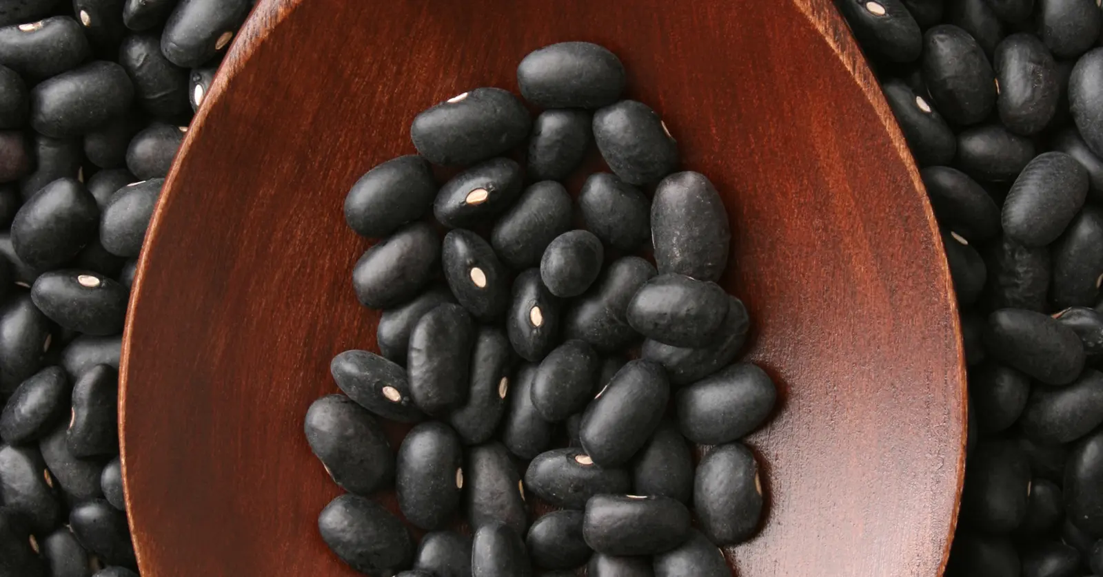 서리태 콩물 효능