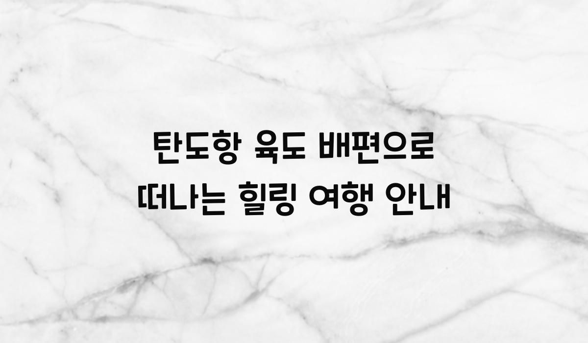 탄도항 육도 배편