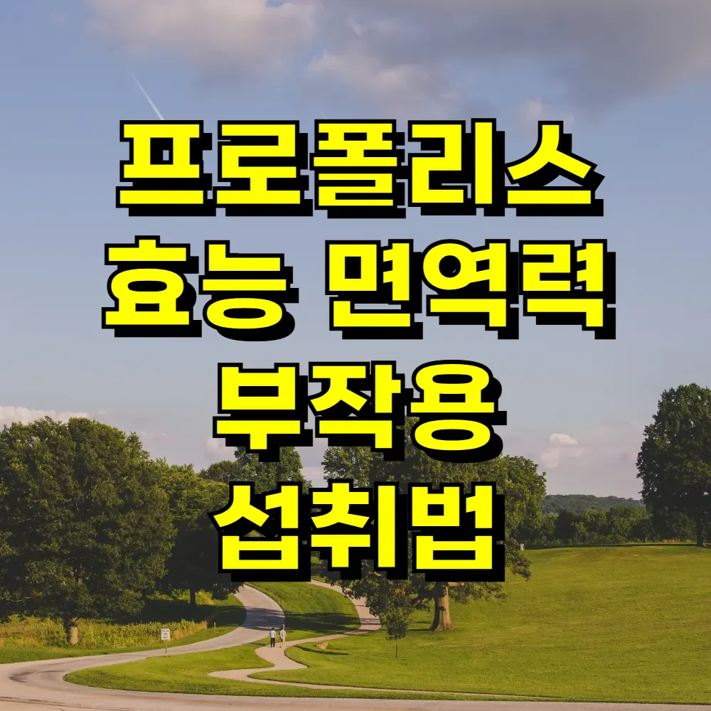 프로폴리스 효능 면역력 부작용 섭취법
