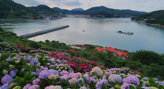 한국기행-청산도