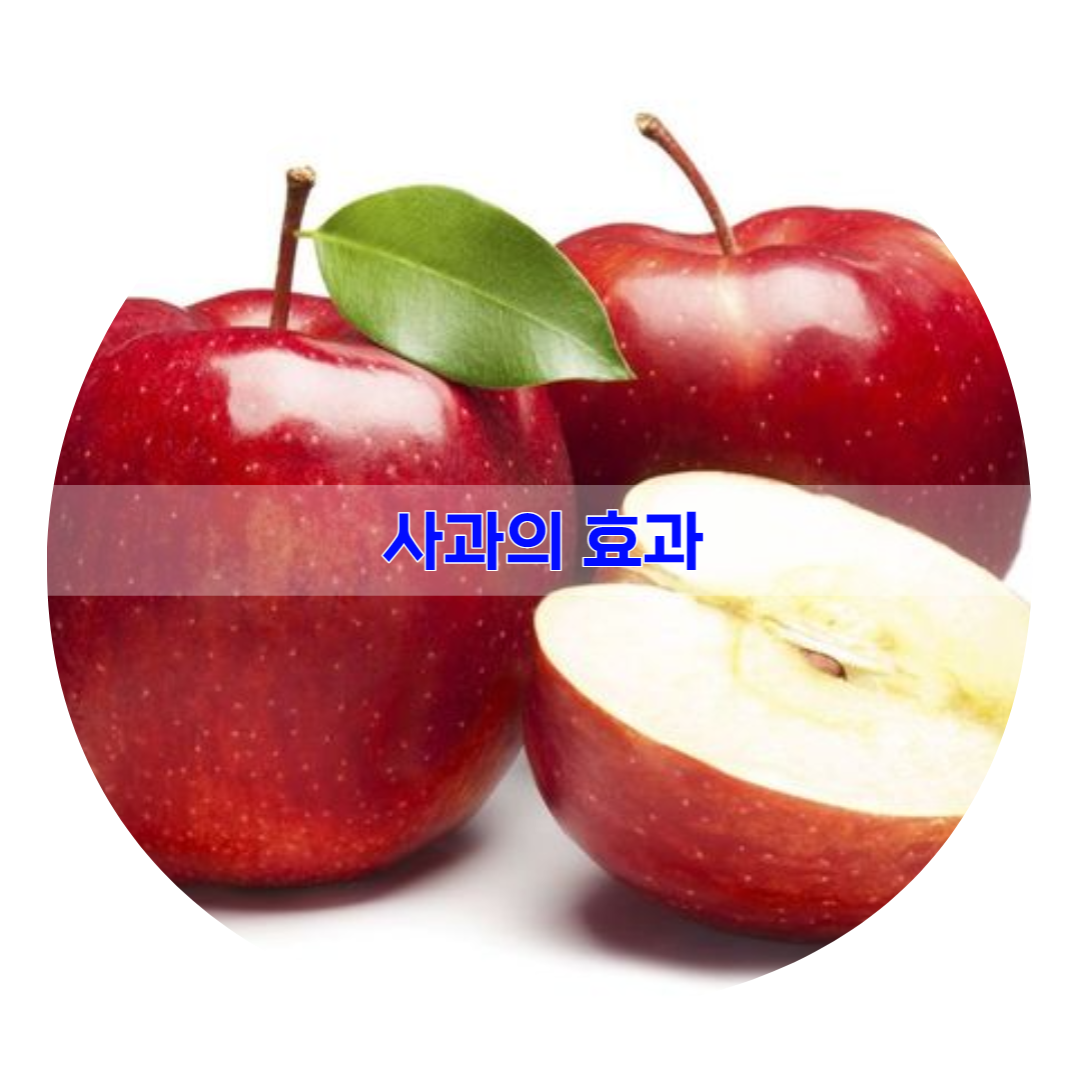  사과의 효과에 대해 알아보겠습니다.