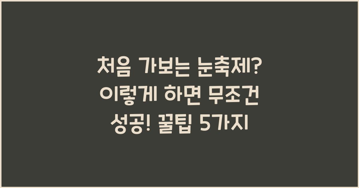 처음 가보는 눈축제? 이렇게 하면 무조건 성공!