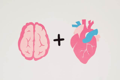 뇌그림과 심장계 그림