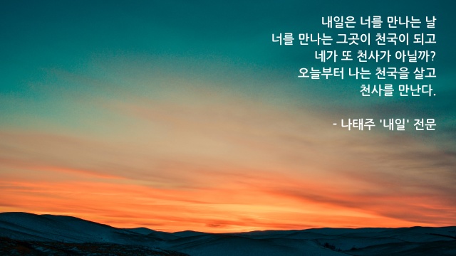 시구절 들어간 이미지