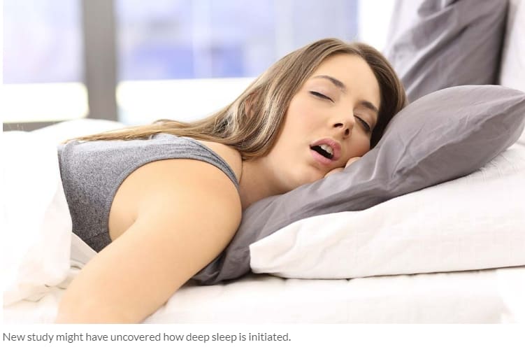  [모두의 고민 숙면] 잠 잘 잤다는 증거들...또 그 과정들 Determining Sleep Quality: How to Know if You Slept Well