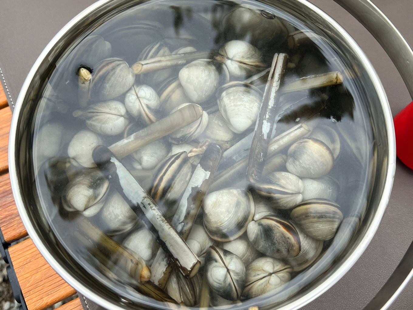 진산리갯벌체험장