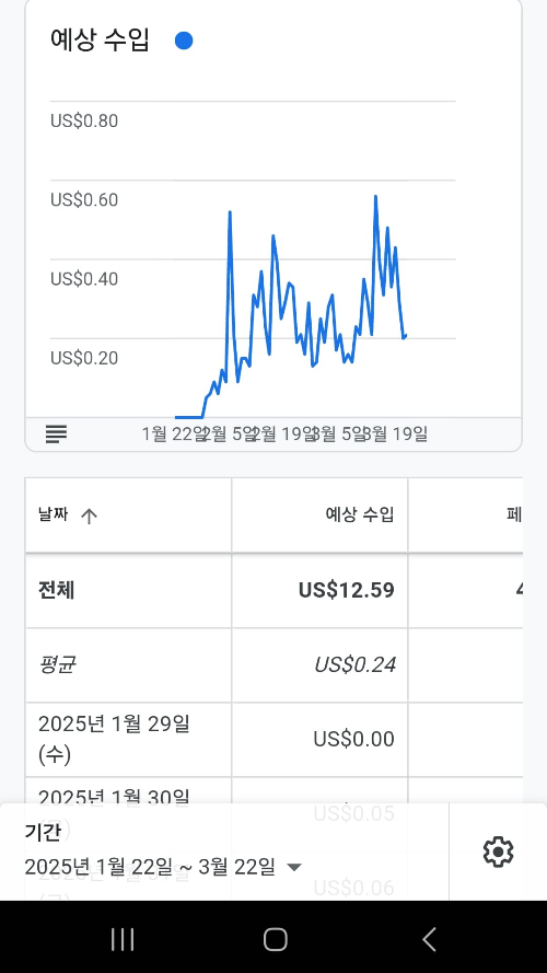 에드센스 예상 수입