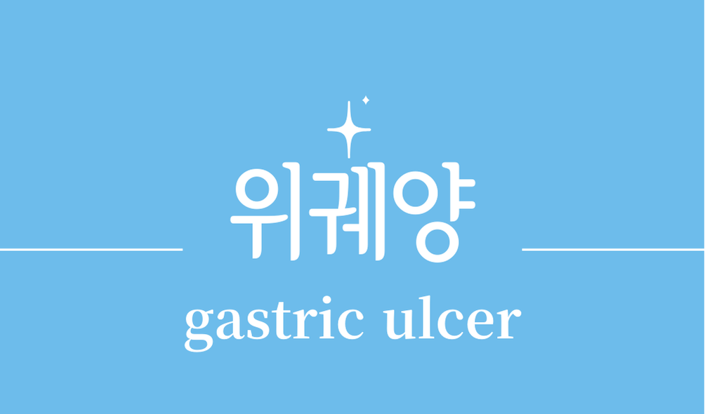 '위궤양(gastric ulcer)'