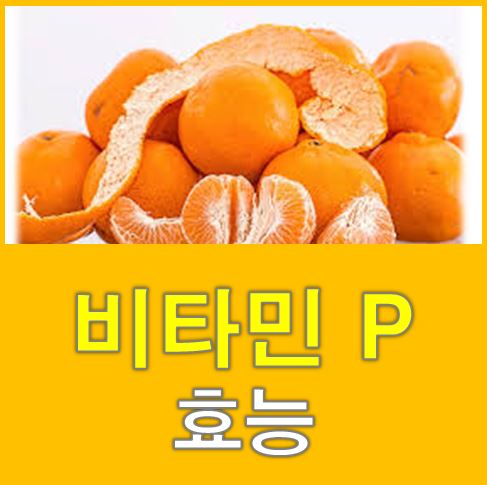  비타민 p 효능 어떤 것이 있을까?