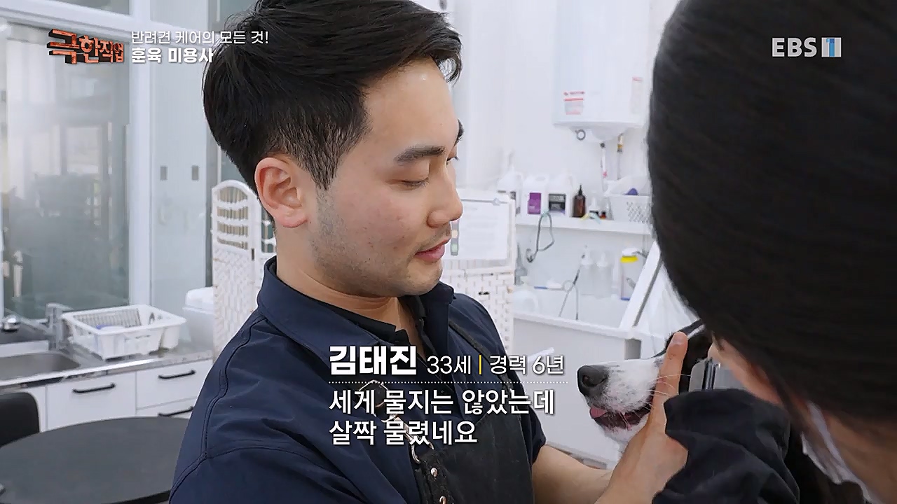 TV - 교육의 중심 EBS반려견 케어의 모든 것!.mp4_20230326_164749.435.jpg