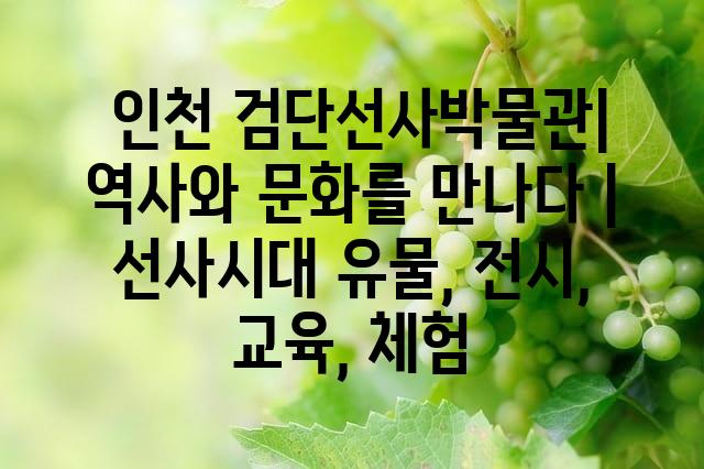 랜덤101