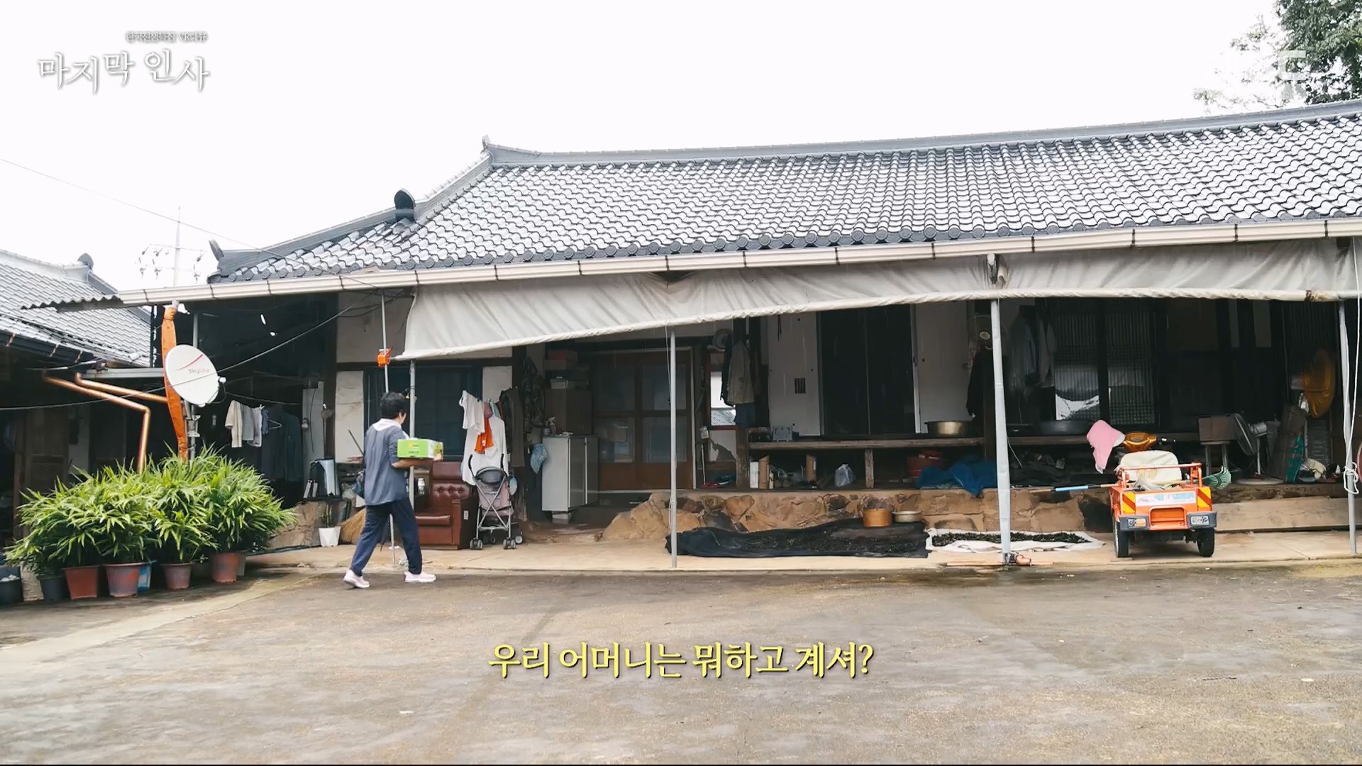 한국전쟁 특집 VR 다큐 마지막 인사.240625p.H264-F1RST.mp4_20240626_200623.057.jpg