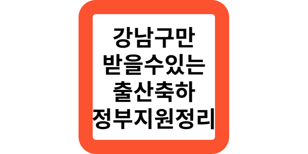  강남구만 받는 출산축하금 3가지(정부지원정리)