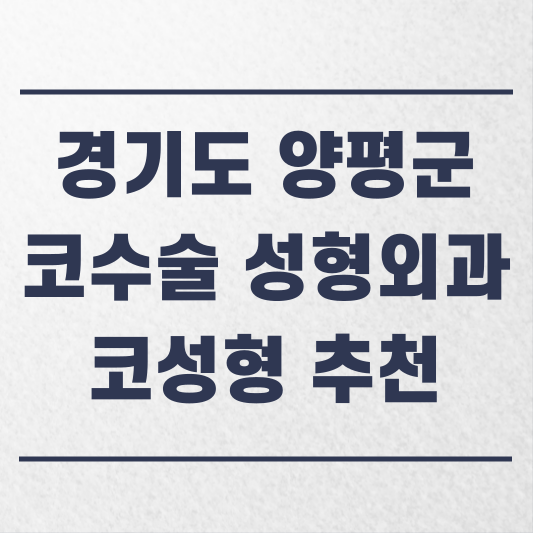 경기도 양평군 코수술 성형외과 추천 코성형 잘하는 곳 가격 비용 금액 후기.png