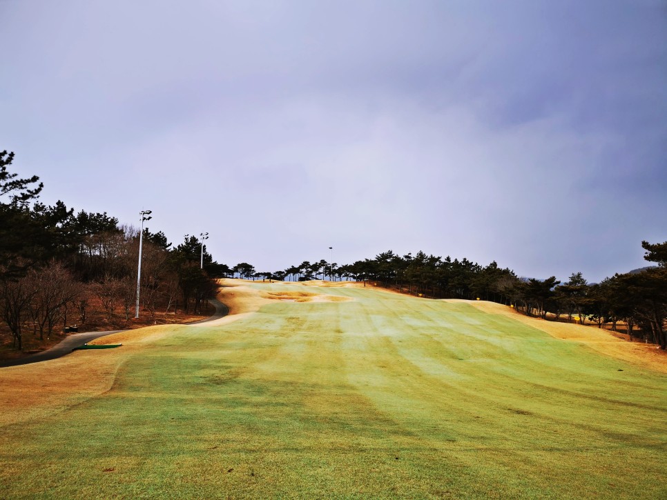 마제스티 1박2일 함평 엘리체CC 29