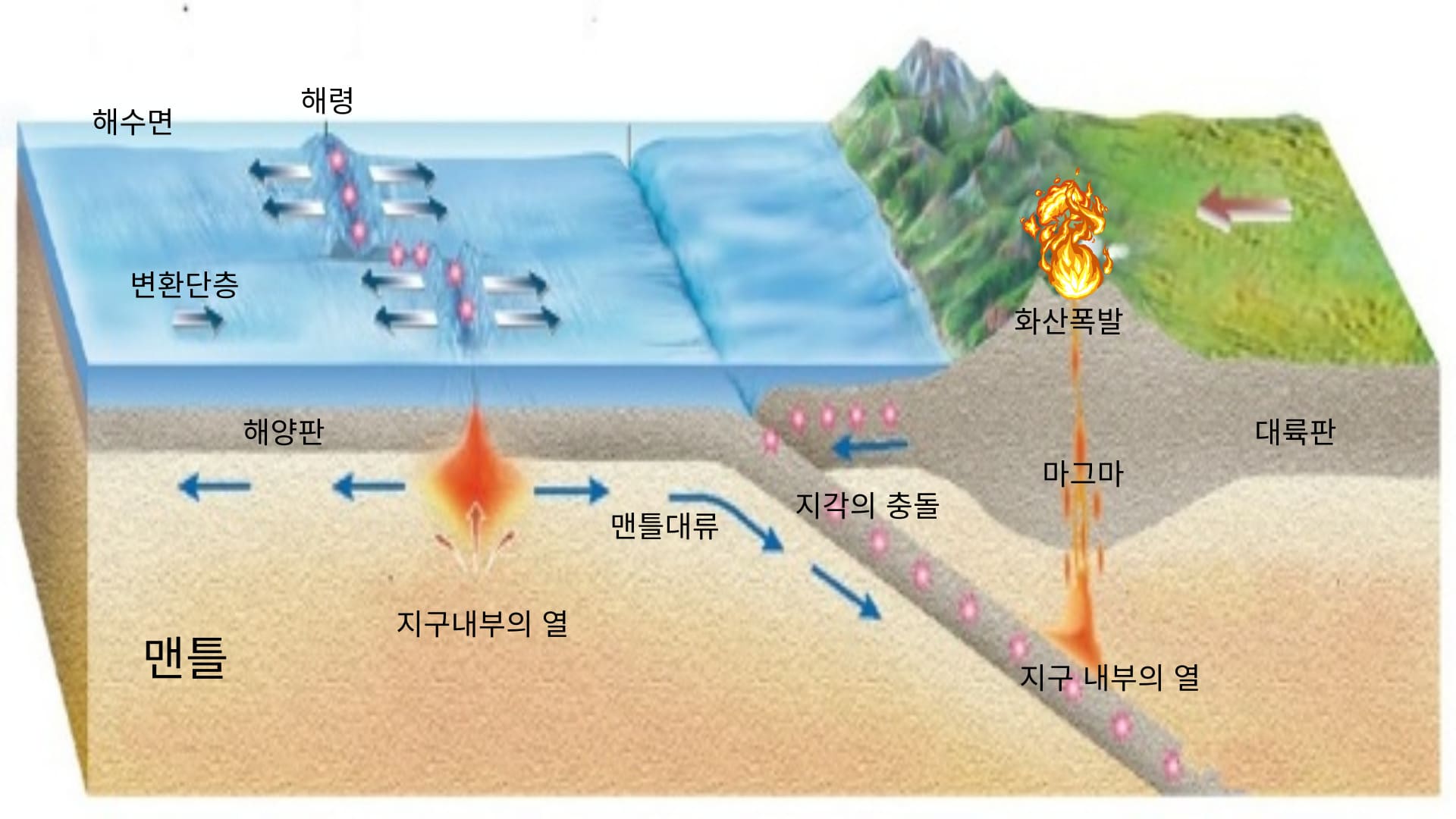 해양 지각