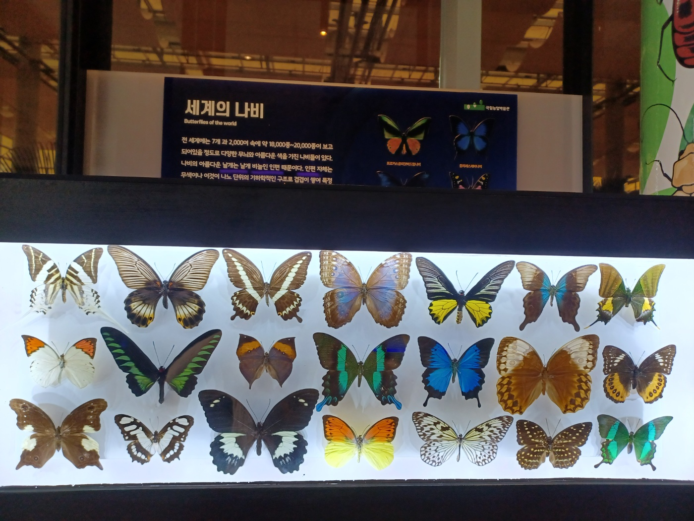 국립 농업 박물관의 어린이 박물관 9