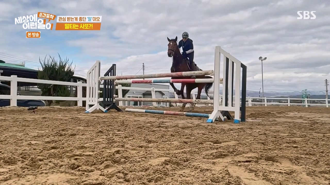 순간포착 세상에 이런일이.E1267.240303p-NEXT.mp4_20240303_162007.842.jpg