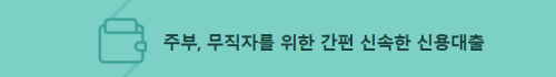 한국캐피탈-초간편소액론-요약