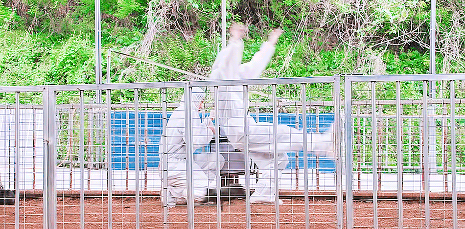 img.gif