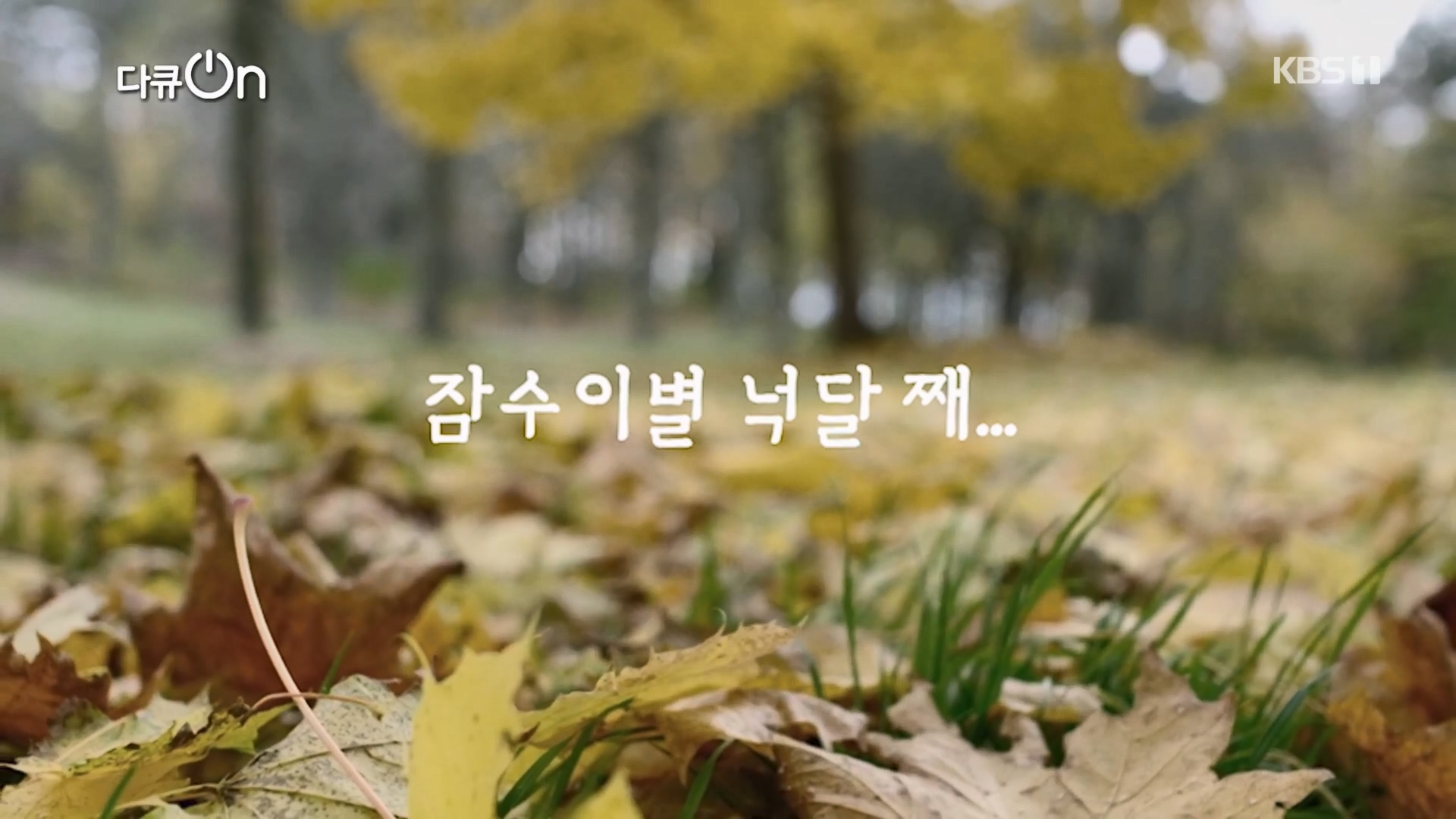 다큐 On.E242.240309p.H264-F1RST.mp4_20240310_142335.080.jpg