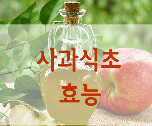  사과식초의 효능과 건강에 미치는 영향을 알아보자!