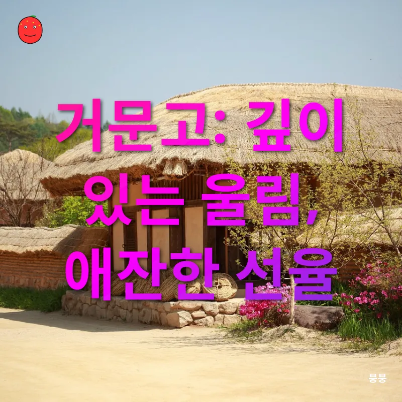 우리 전통 악기의 매력_2