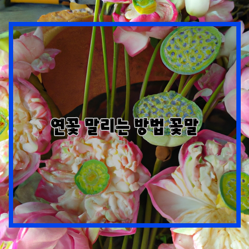  연꽃을 아름답게 보존하는 말리기의 기술
