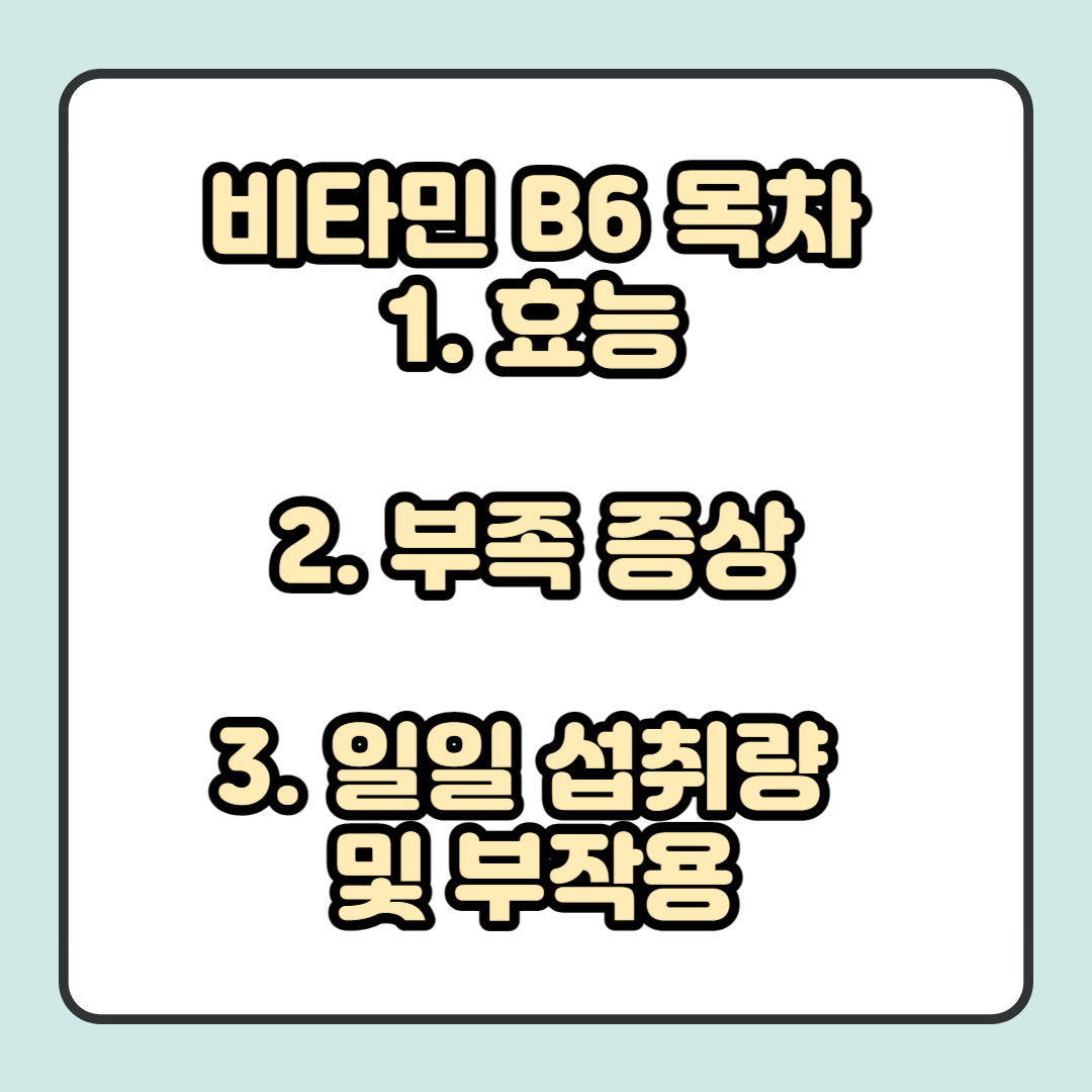 비타민B6 설명에 대한 목차