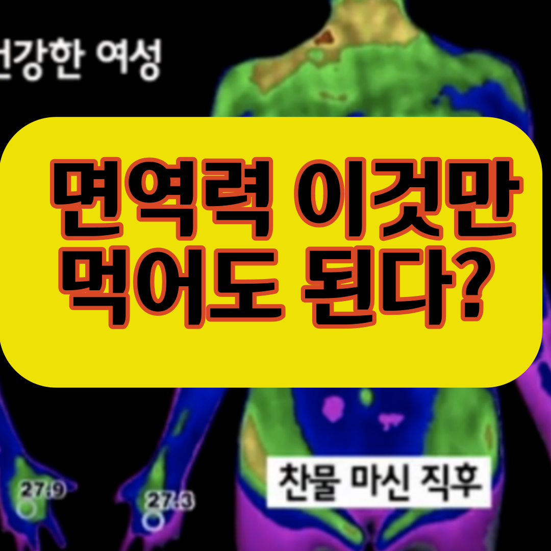  면역력 강화에 좋은 음식 다 알려드립니다. 이것만 먹어도 면역력 강화?