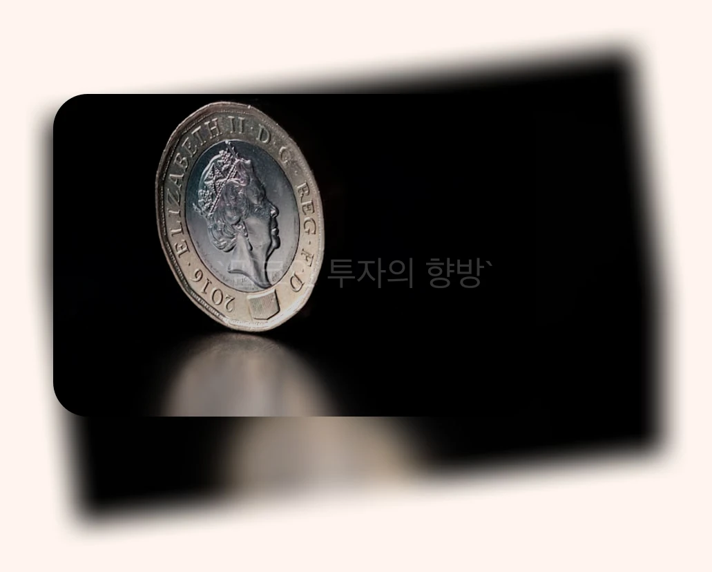 밈코인 투자의 향방_1_subsection
