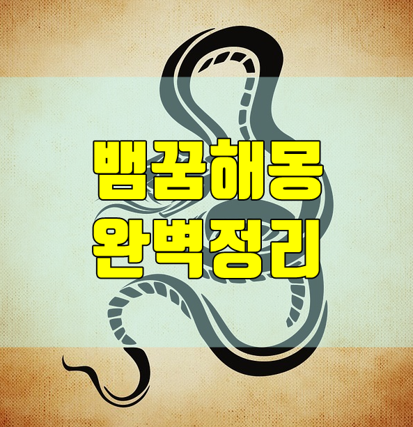  뱀꿈 해몽 총정리 해 드립니다.