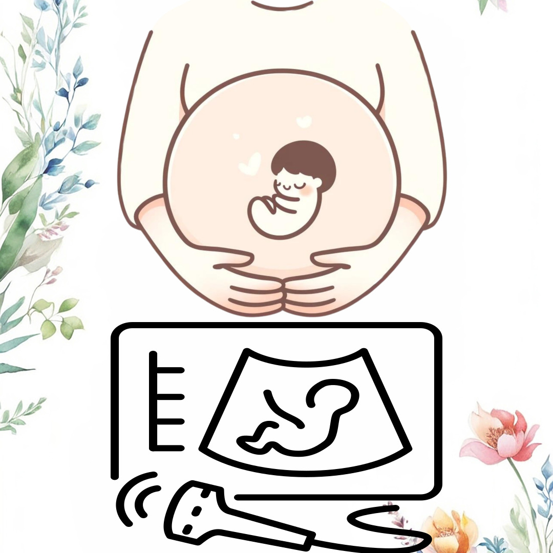 임신 그림