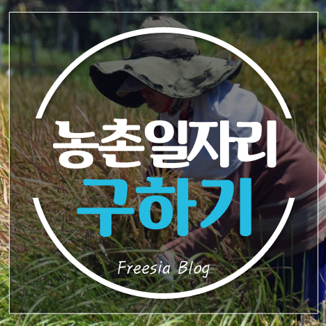 농촌 일자리 구하기