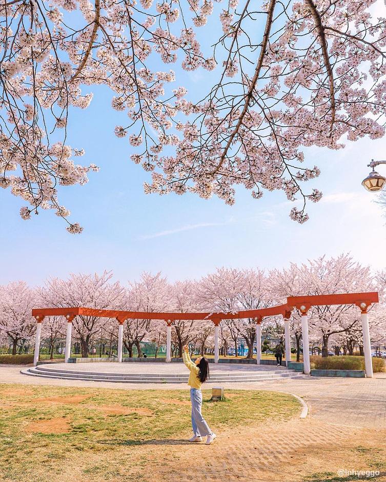  안산 가볼 만한 곳, 봄나들이 드라이브 코스, 서울 근교 당일치기