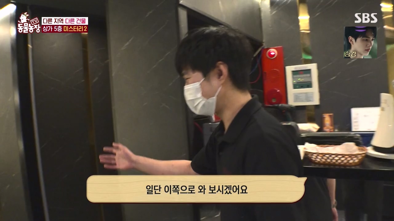 TV 동물농장.E1146.231120p-NEXT.mp4_20231119_175250.863.jpg