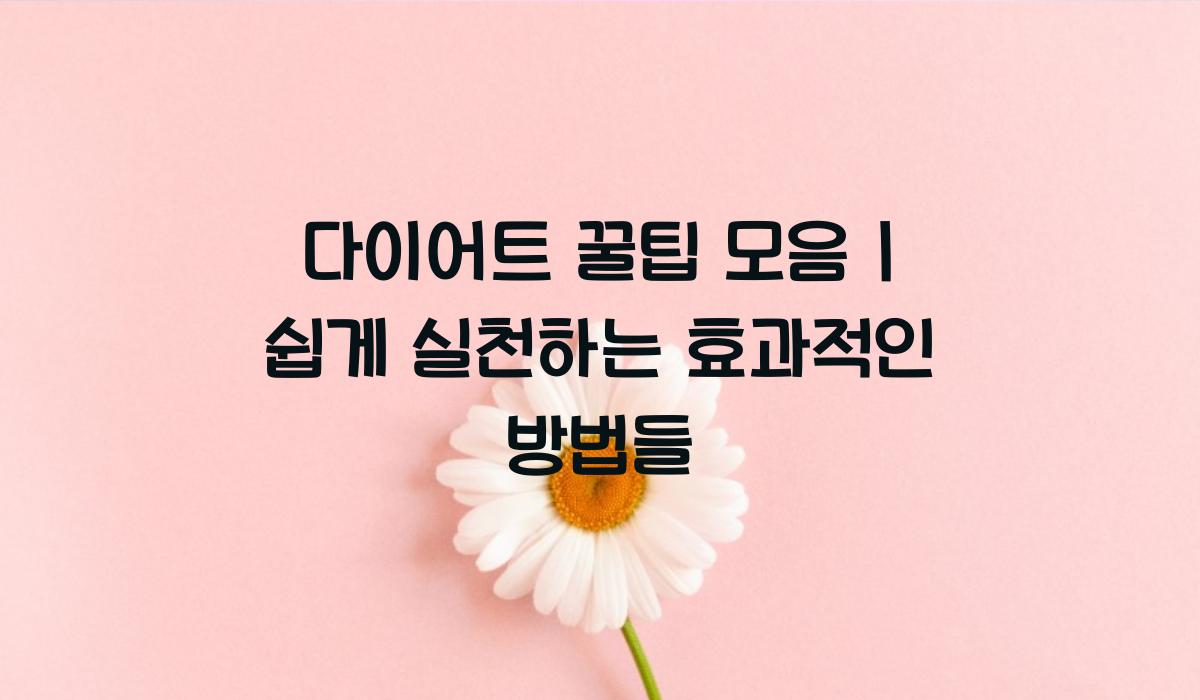 다이어트 꿀팁 모음