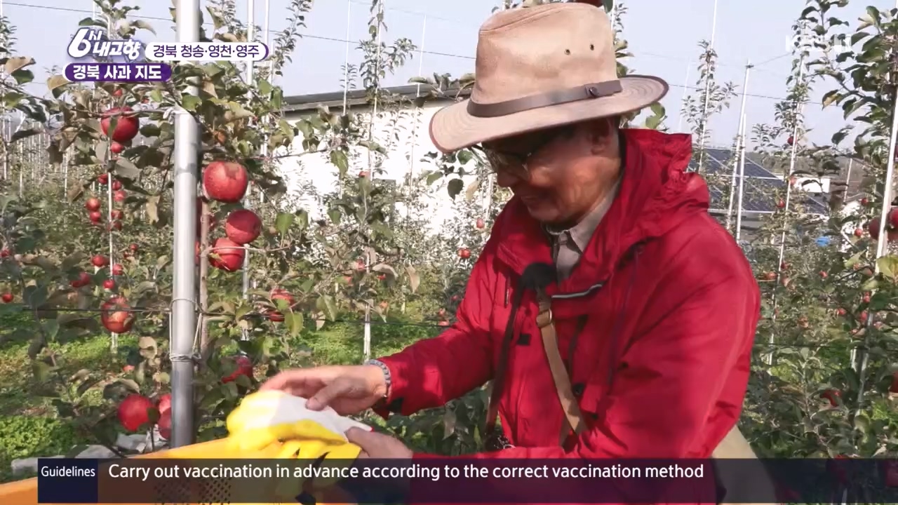 6시 내고향.E7907.231108p.H264-F1RST.mp4_20231108_204729.975.jpg