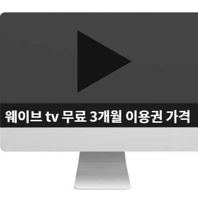  웨이브 tv 무료 3개월 이용권 가격