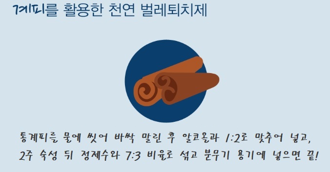 천연-진드기-퇴치제-만들기