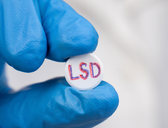 LSD 관련사진