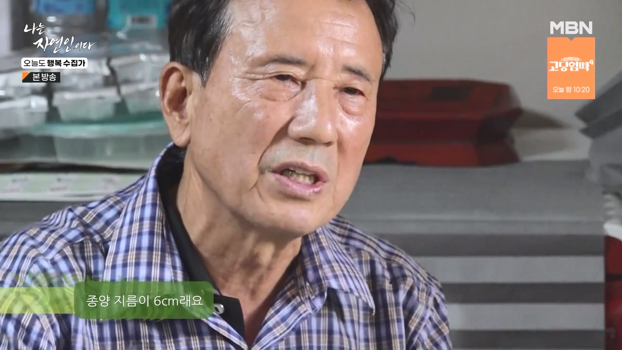 나는 자연인이다.E578.231102p-NEXT.mp4_20231102_194436.708.jpg