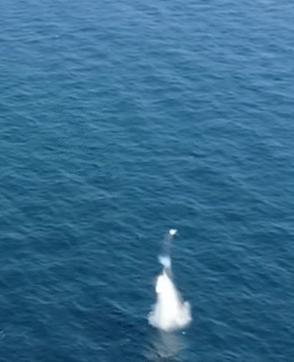  잠수함발사탄도미사일(SLBM) 발사시험 성공...세계 7번째(영상)