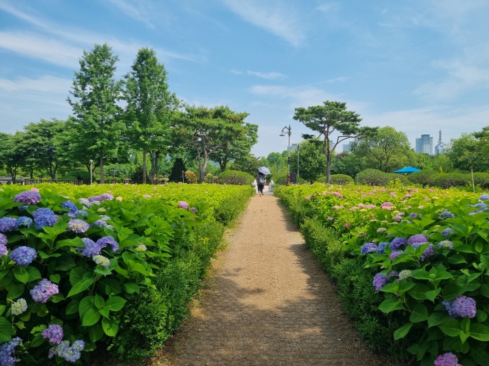 수국원