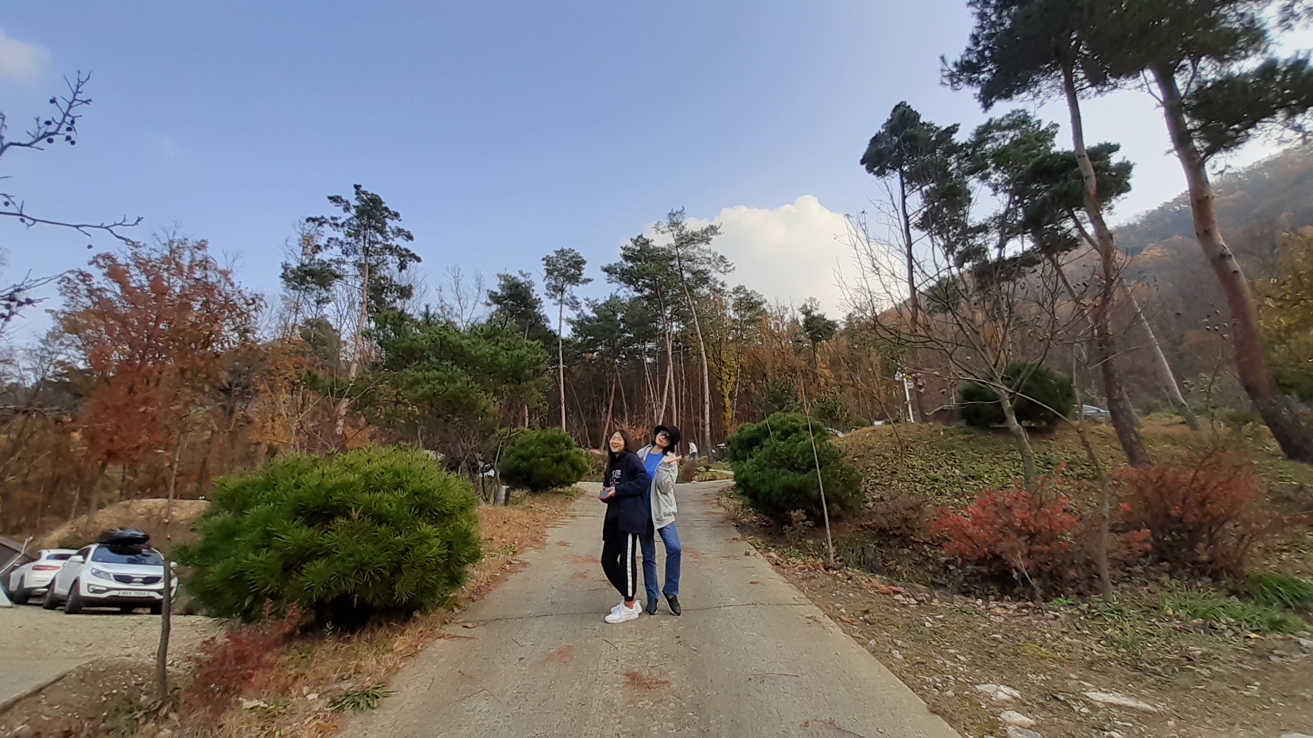  옥천 가볼만한곳 마로니에숲 캠핑장