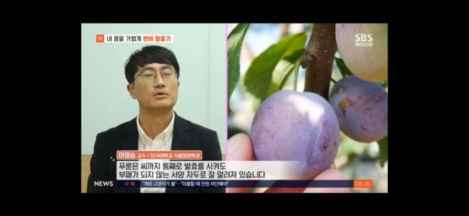 테일러팜스 푸룬주스