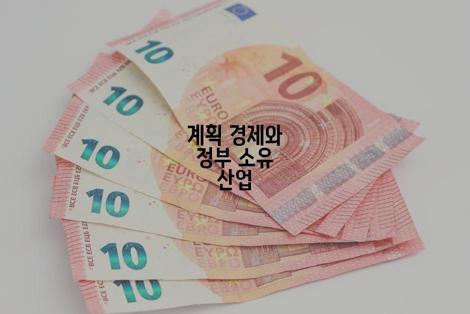 계획 경제와 정부 소유 산업