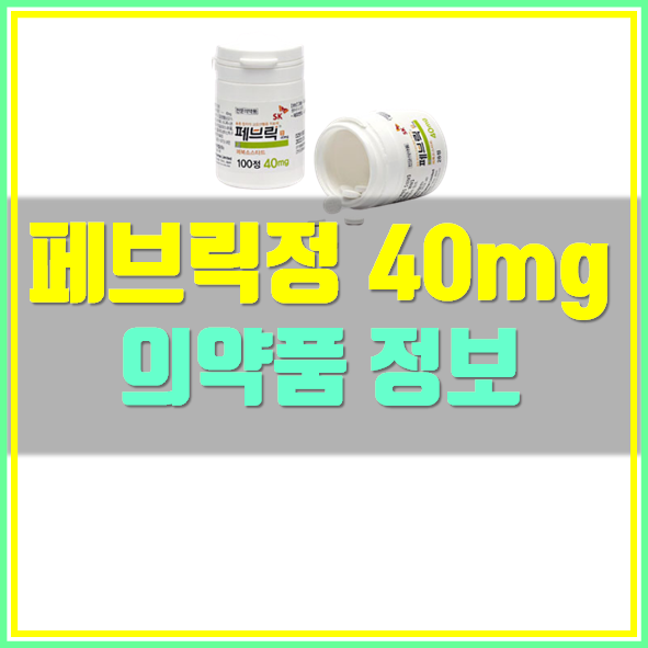  페브릭정 40mg 부작용 및 복용법